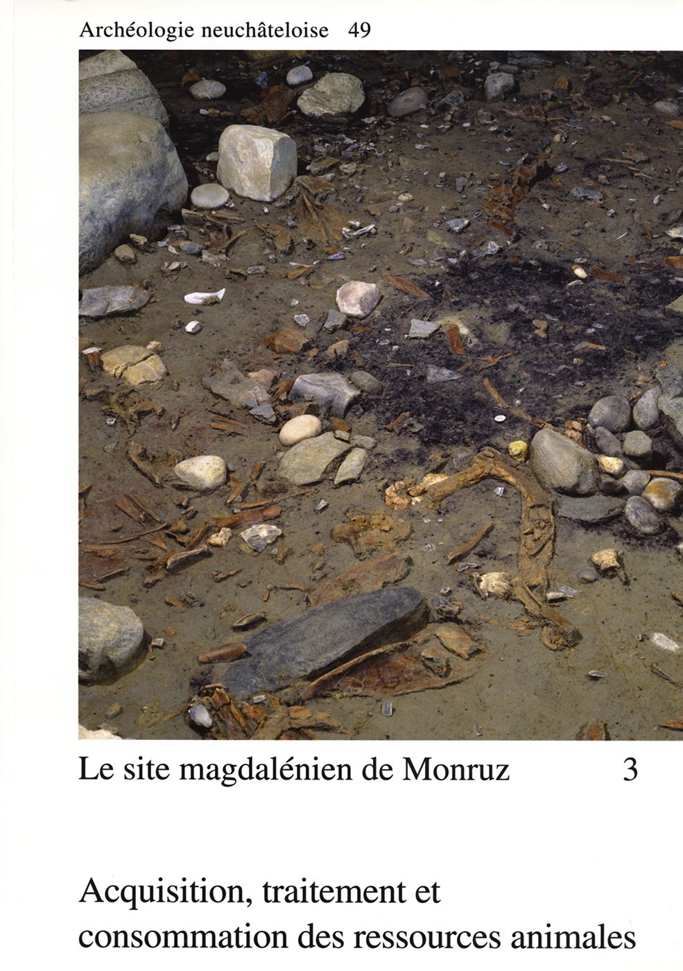 Le site magdalénien de Monruz 3: Acquisition, traitement et consommation des ressources animales. book