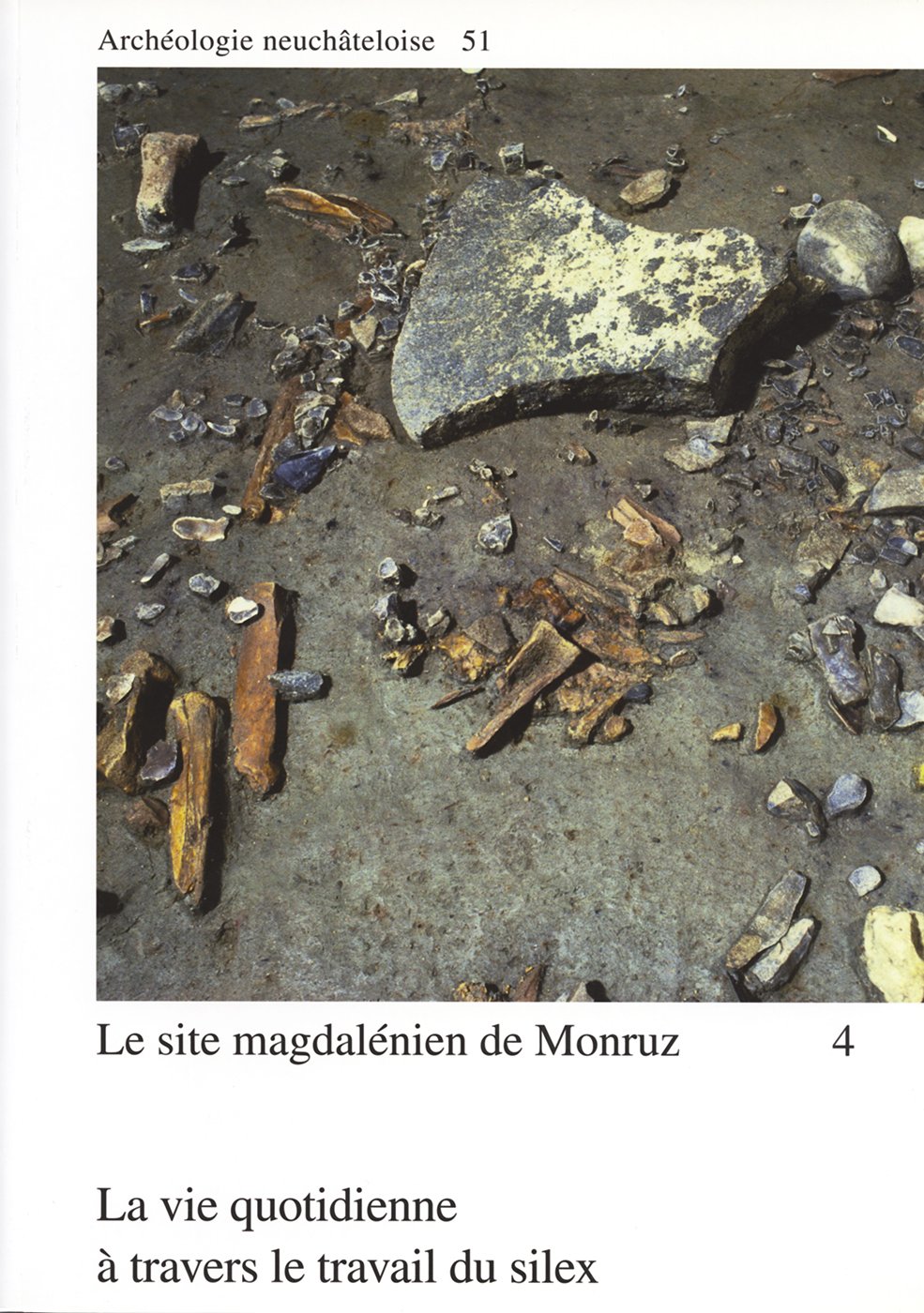 Le site magdalénien de Monruz 4: La vie quotidienne à travers le travail du silex. book