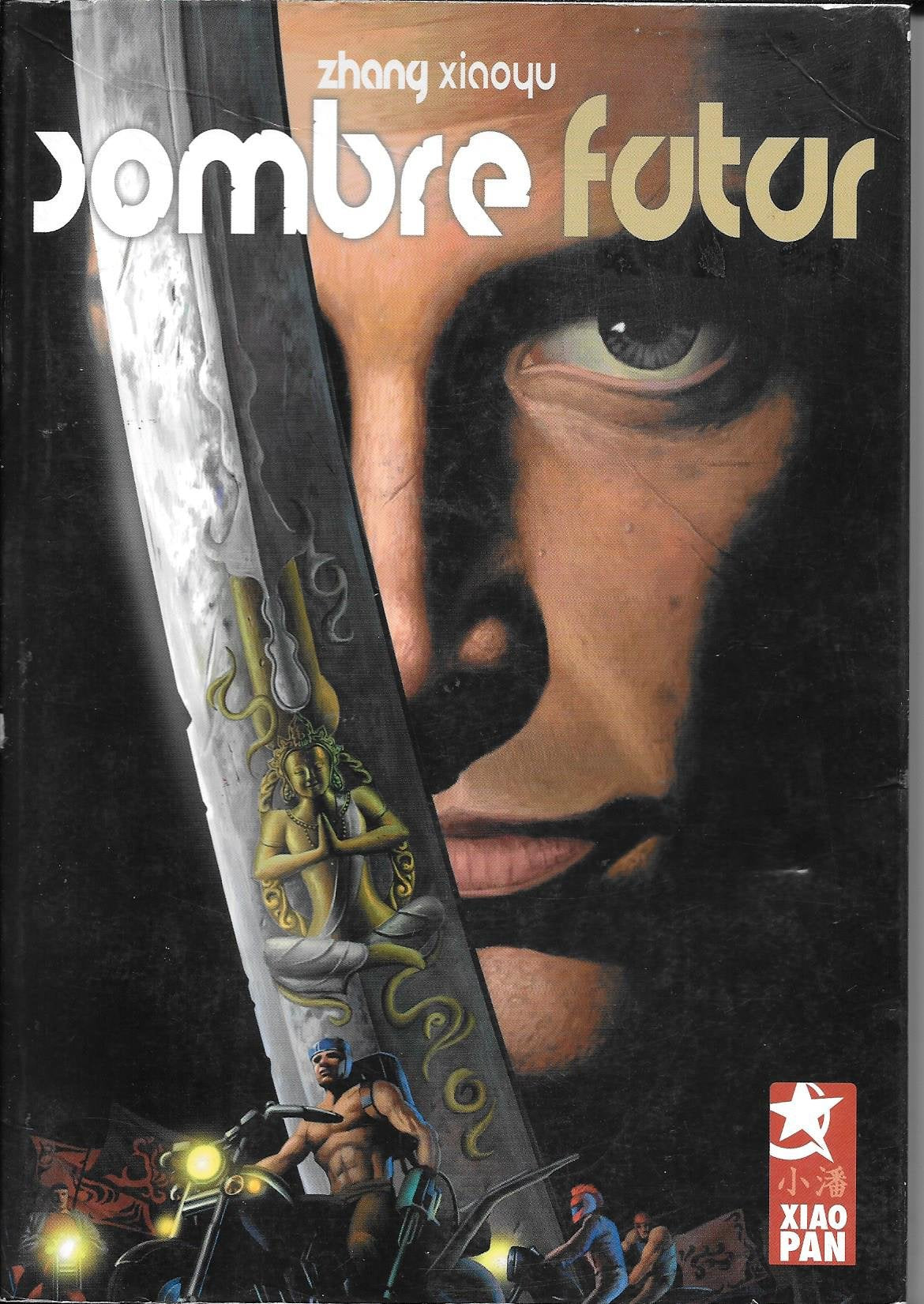 Sombre futur book