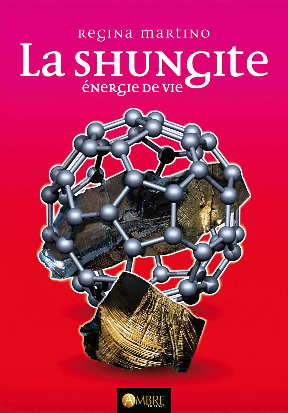 La Shungite énergie de vie book