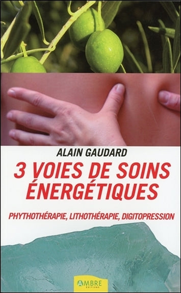 3 voies de soins énergétiques : phytothérapie, lithothérapie, digitopression book