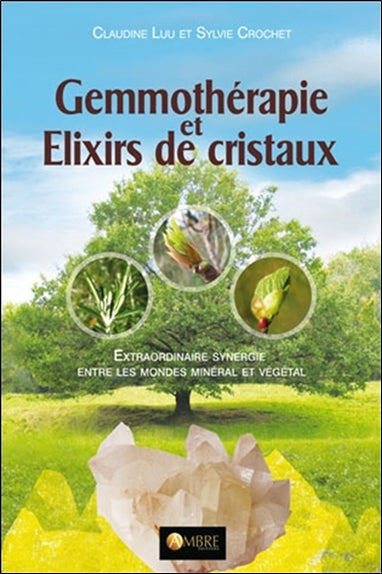 Gemmothérapie et élixirs de cristaux : extraordinaire synergie entre les mondes minéral et végétal Books