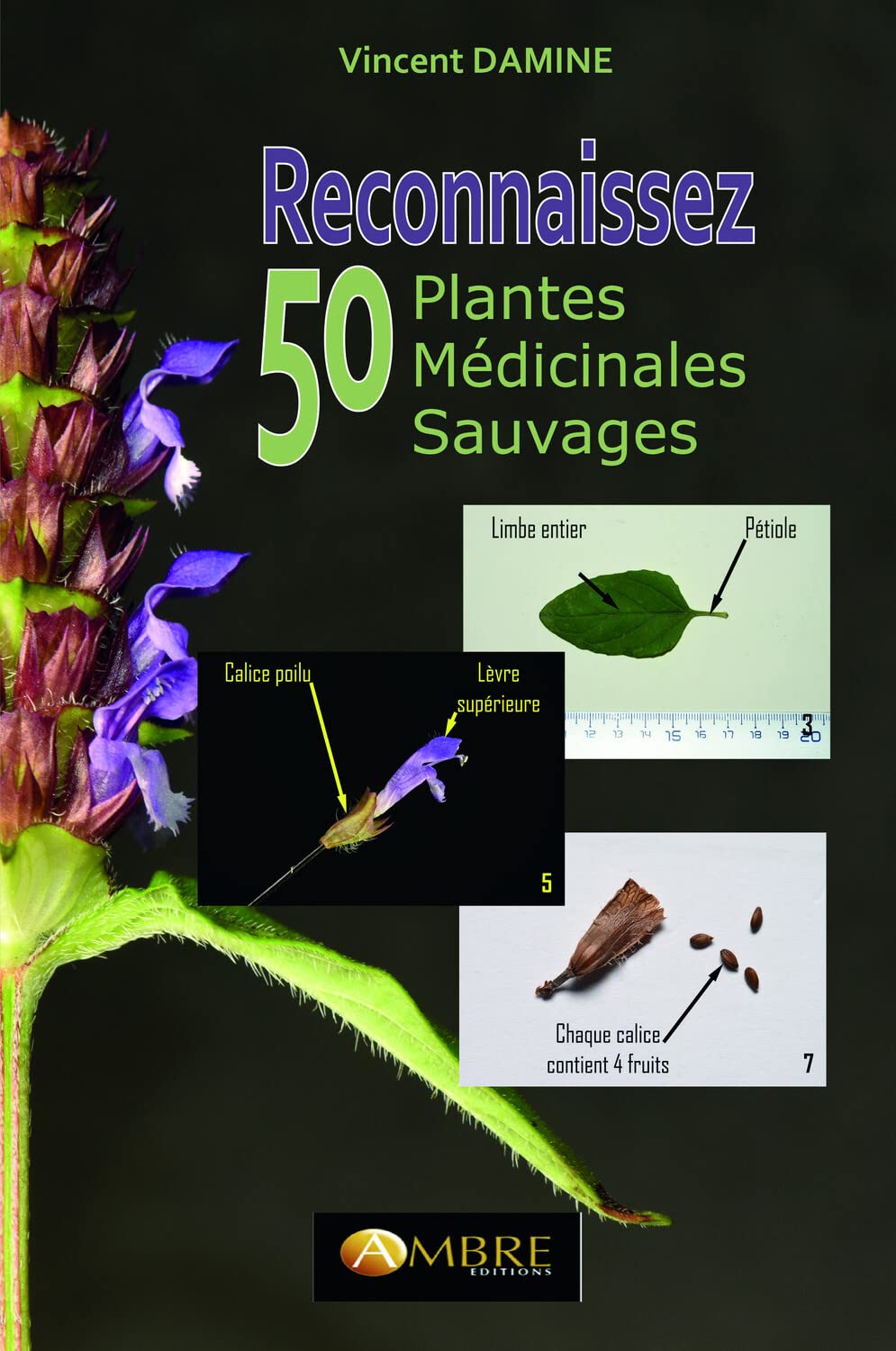 Reconnaissez 50 plantes médicinales sauvages Health, Nutrition & Fitness