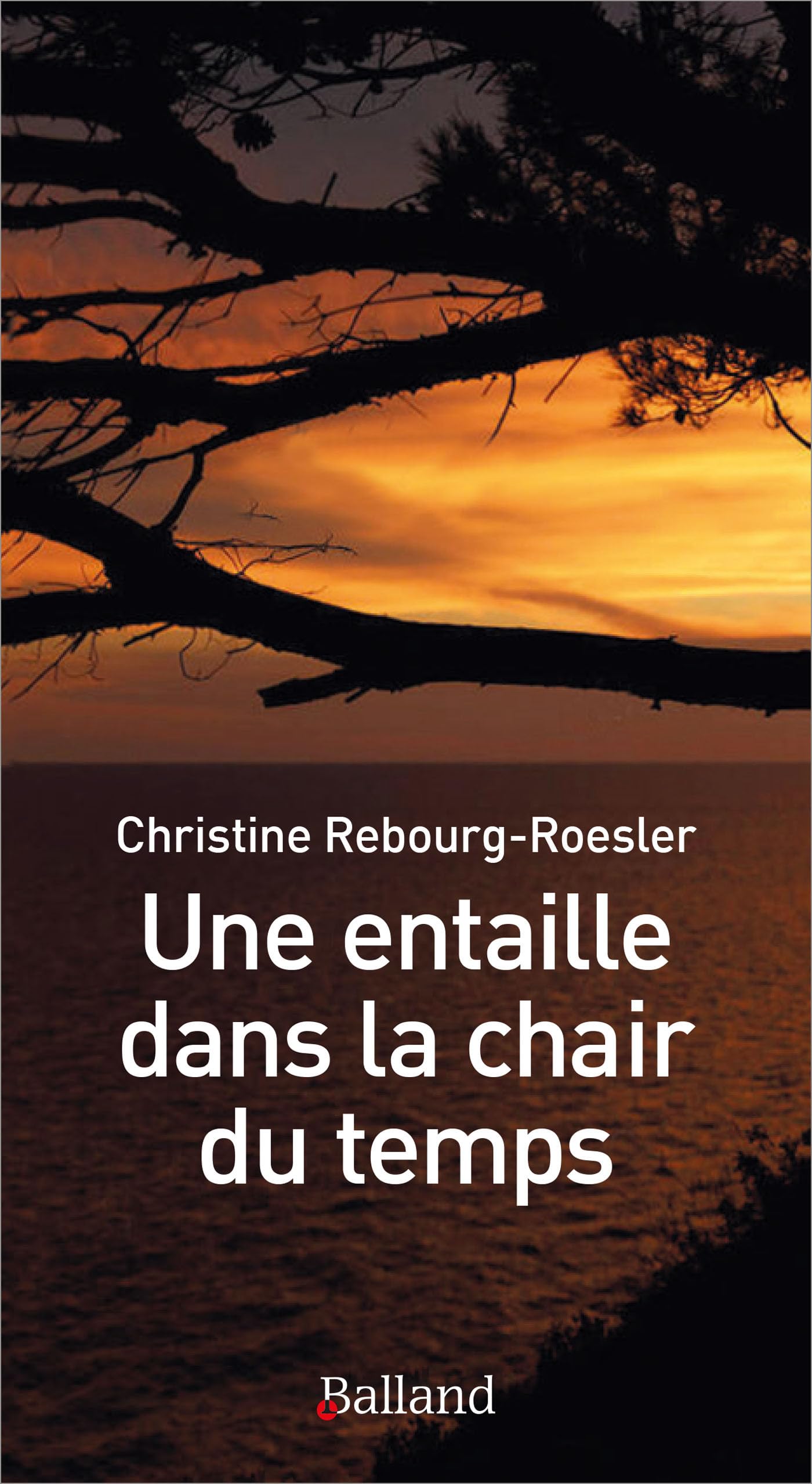 UNE ENTAILLE DANS LA CHAIR DU TEMPS book