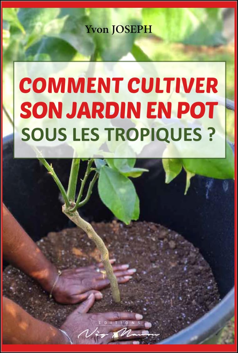 COMMENT CULTIVER SON JARDIN EN POT SOUS LES TROPIQUES ? Garden & Plants