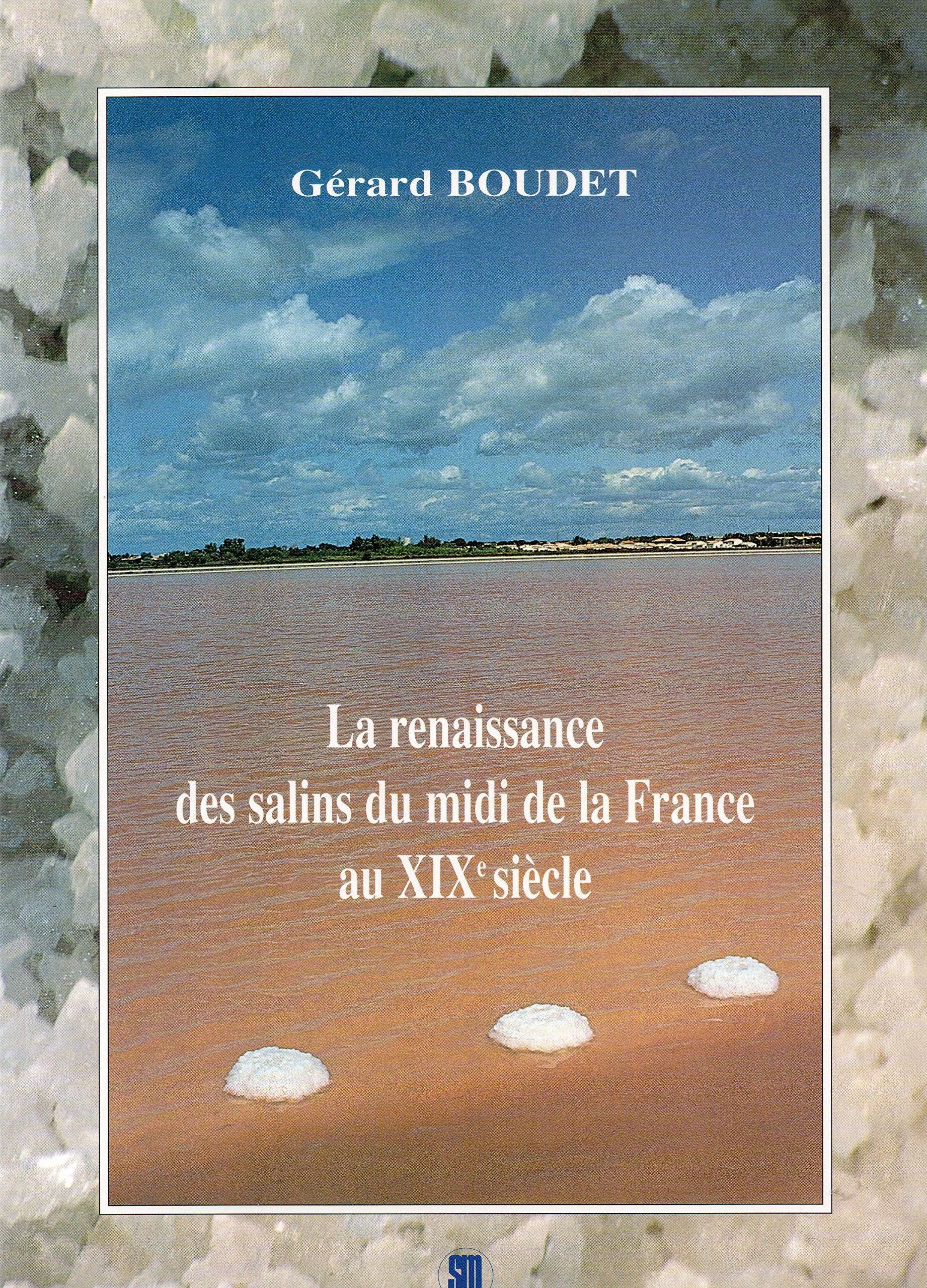 Le sel du Midi au XIXe siècle : La renaissance des salins du Midi de la France book