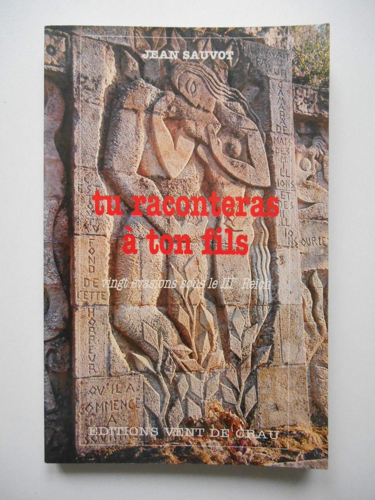 Tu raconteras à ton fils : Vingt évasions sous le IIIe Reich Books