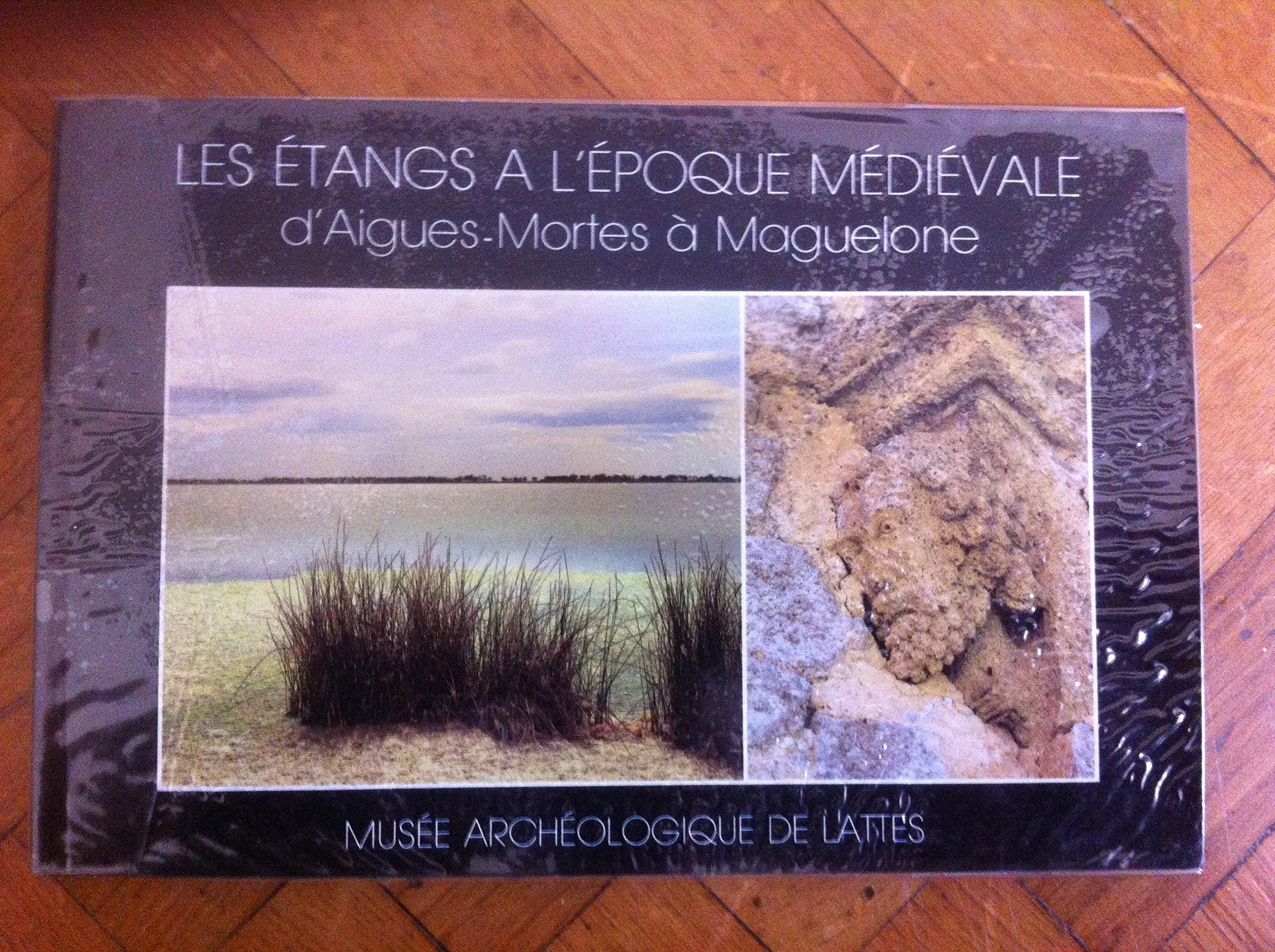 Les Etangs à l'époque médiévale d'Aigues-Mortes à Maguelone book