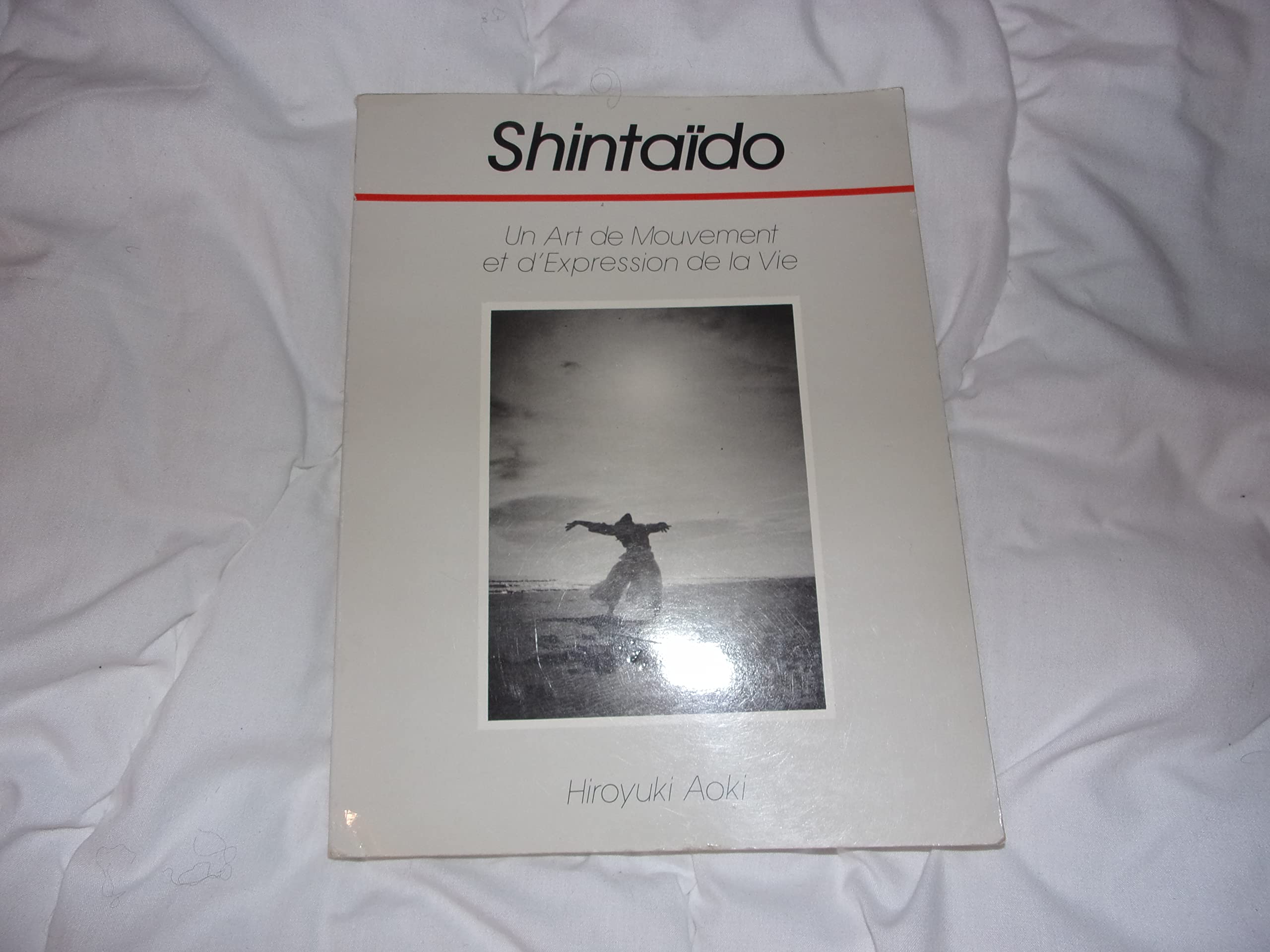 Shintaïdo : un art de mouvement et d'expression de la vie book