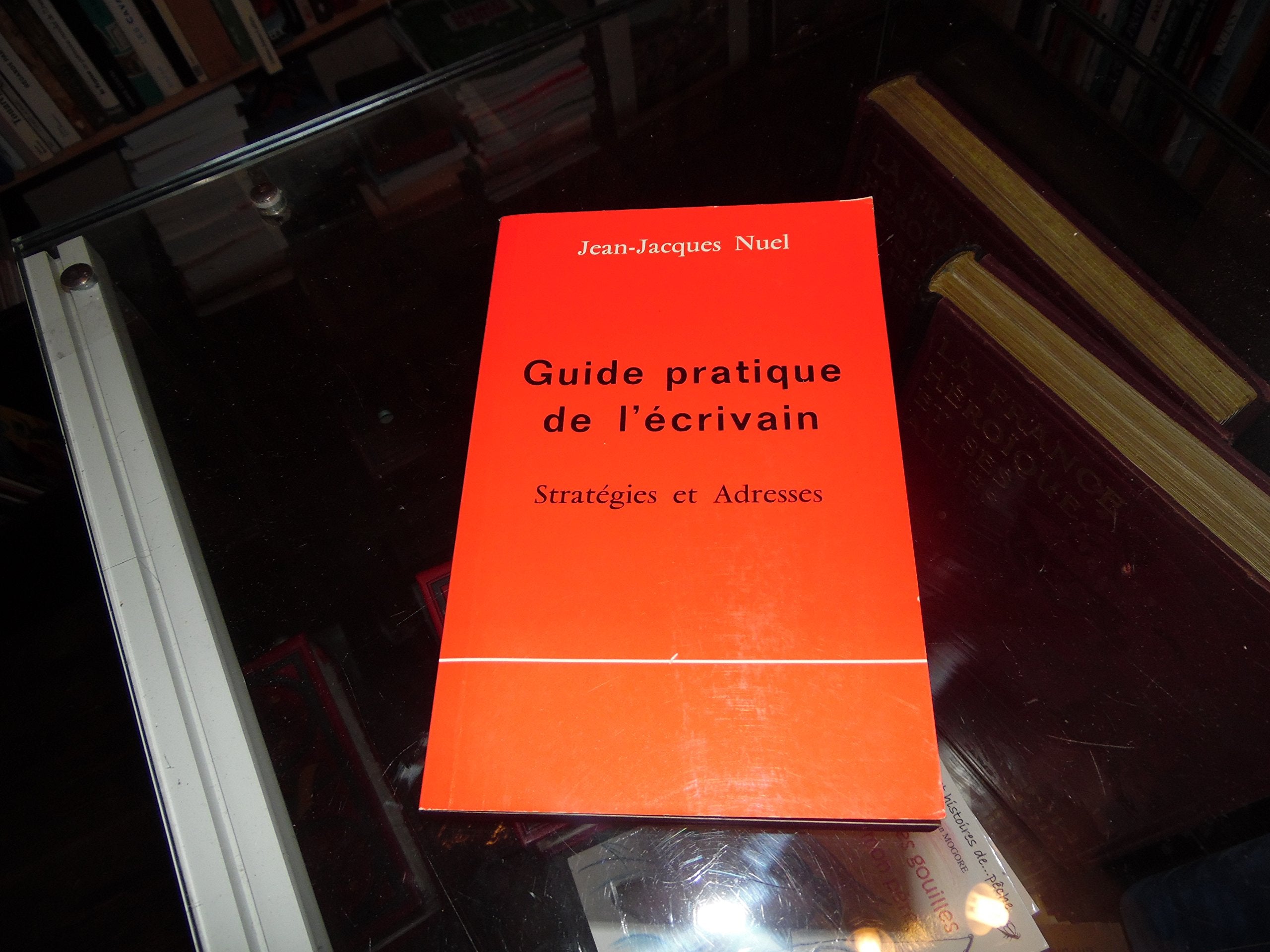 Guide pratique de l'écrivain : stratégies et adresses Books