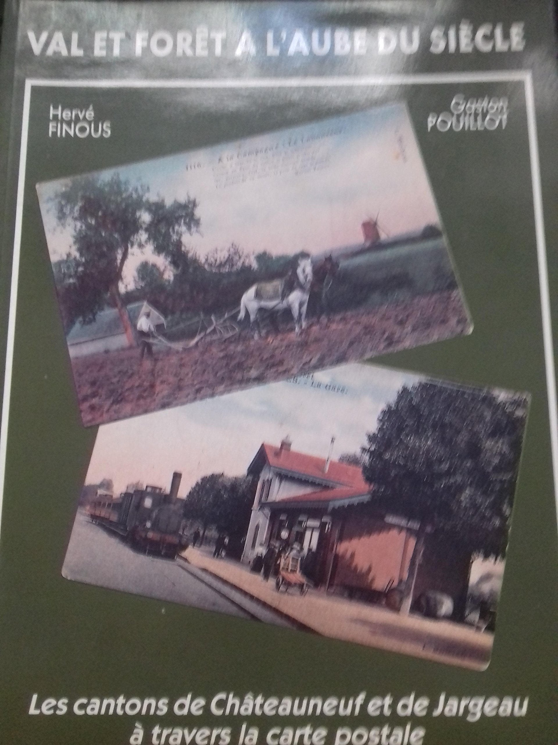 Val et forêt à l'aube du siècle : Les cantons de Châteauneuf et de Jargeau à travers la carte postale book