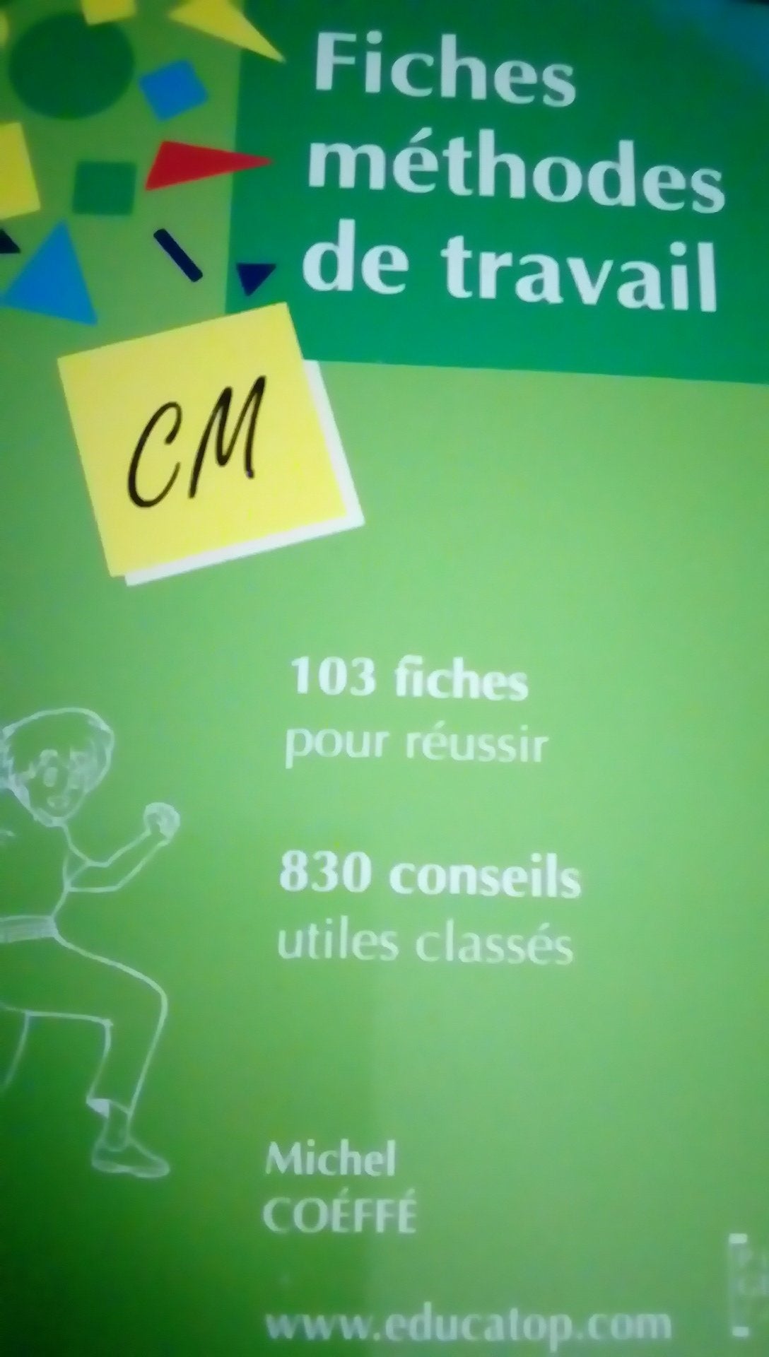 Fiches Methodes De Travail Pour Le Cm. 80 Fiches - 800 Conseils Utiles Classes book