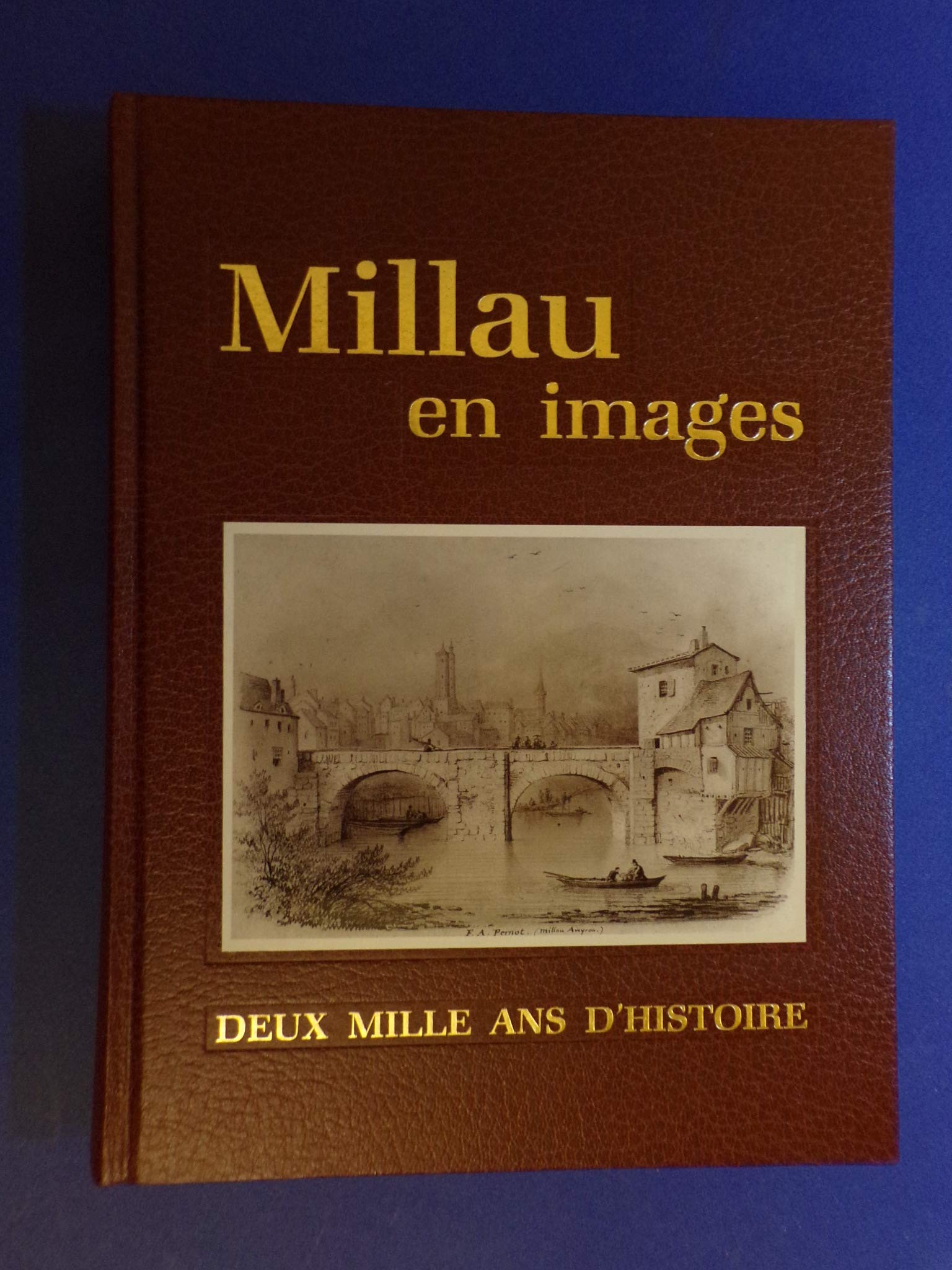 Millau en images : Deux mille ans d'histoire book
