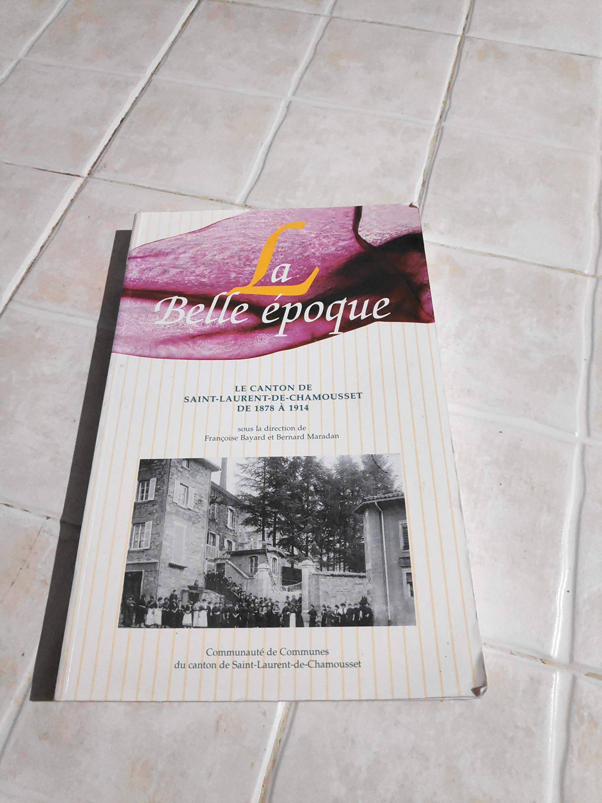 La Belle époque : Le canton de Saint-Laurent-de-Chamousset de 1878 à 1914 book