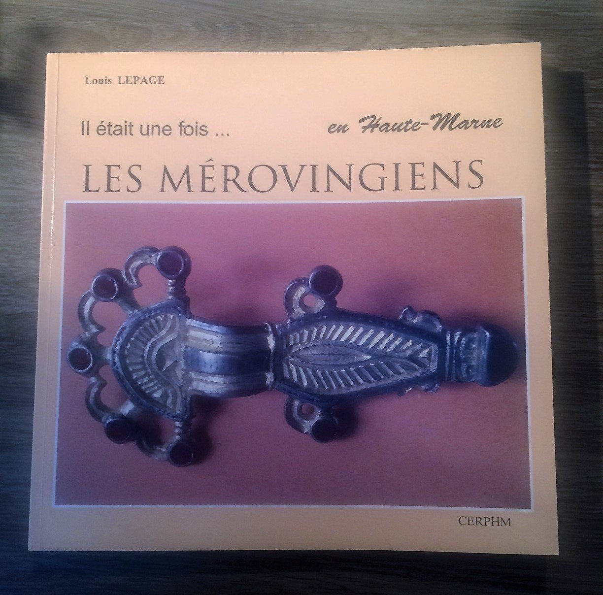 LES MEROVINGIENS, Il était une fois ... en Haute-Marne book