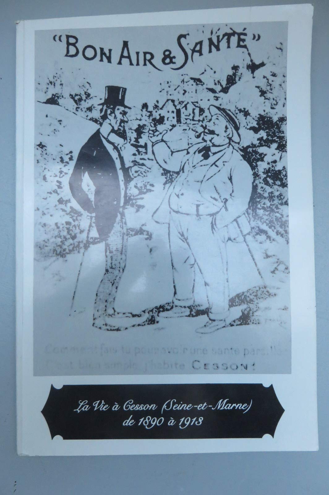 La vie à Cesson (Seine-et-Marne) de 1800 à 1913 book