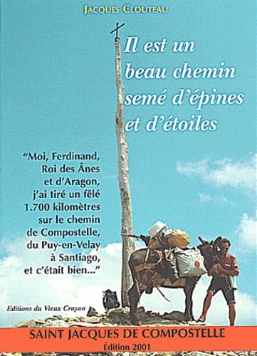Il est un beau chemin semé d'épines et d'étoiles book