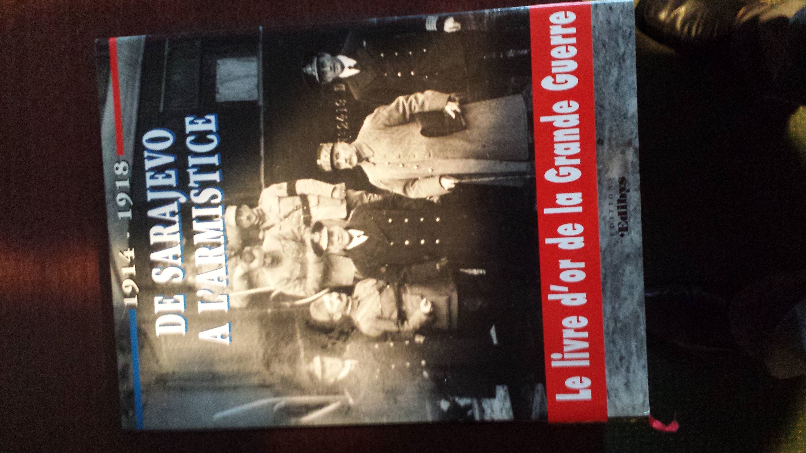 Guerre 1914-1918, de Sarajevo à la nouvelle Europe book