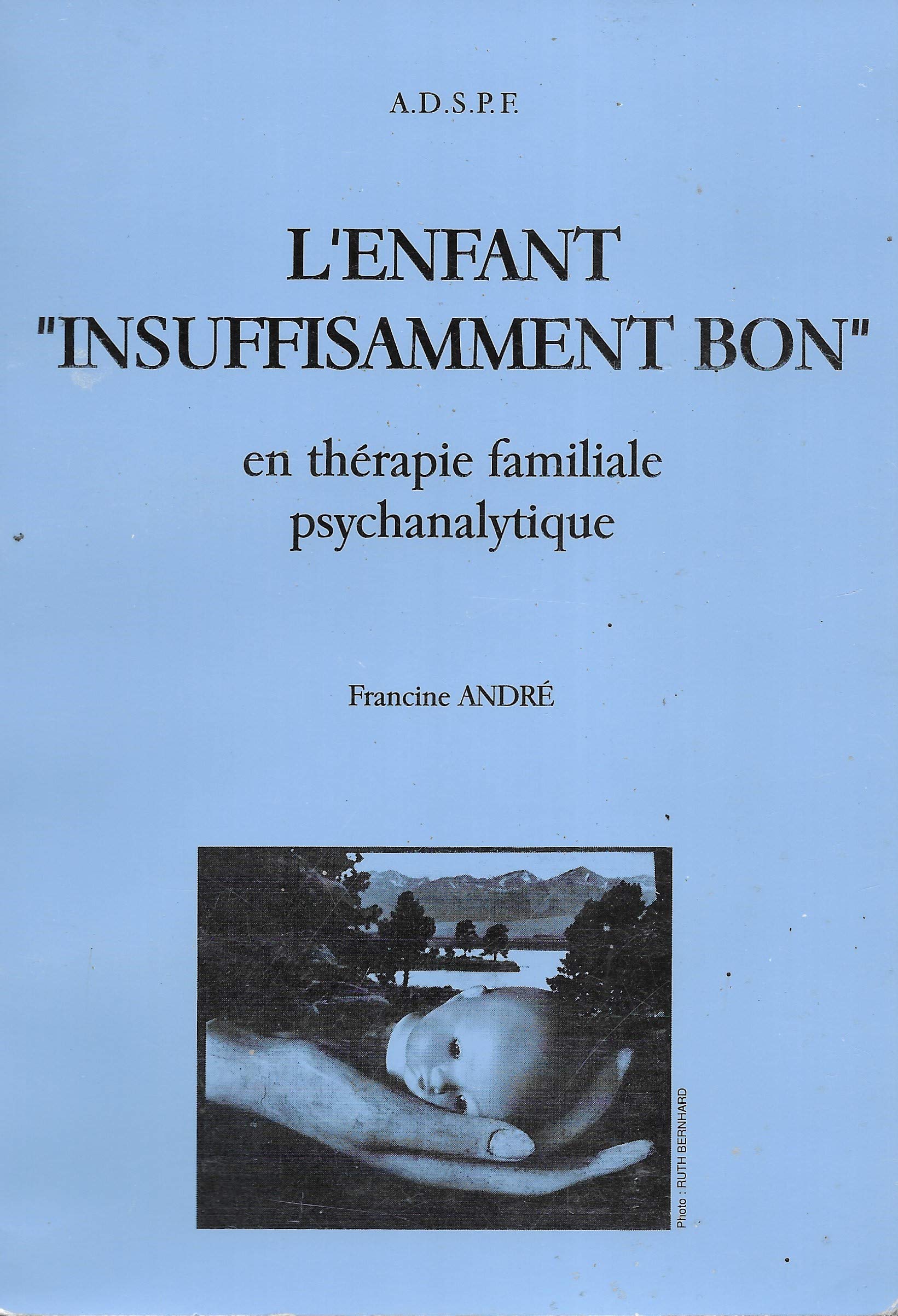 L'enfant insuffisamment bon en thérapie familiale psychanalytique Books