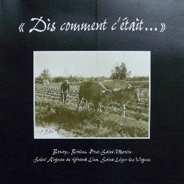"Dis comment c'était" Bouaye, Brains, Pont-Saint-Martin, Saint-Aignan-de-Grand-Lieu, Saint-Léger-les-Vignes Books