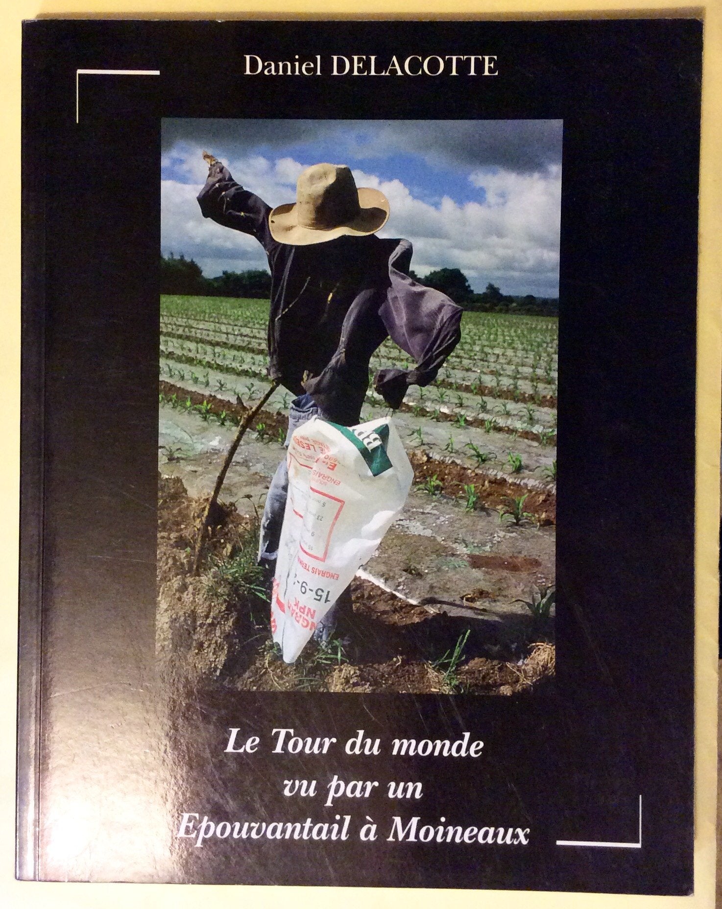 Le tour du monde vu par un épouvantail à moineaux book