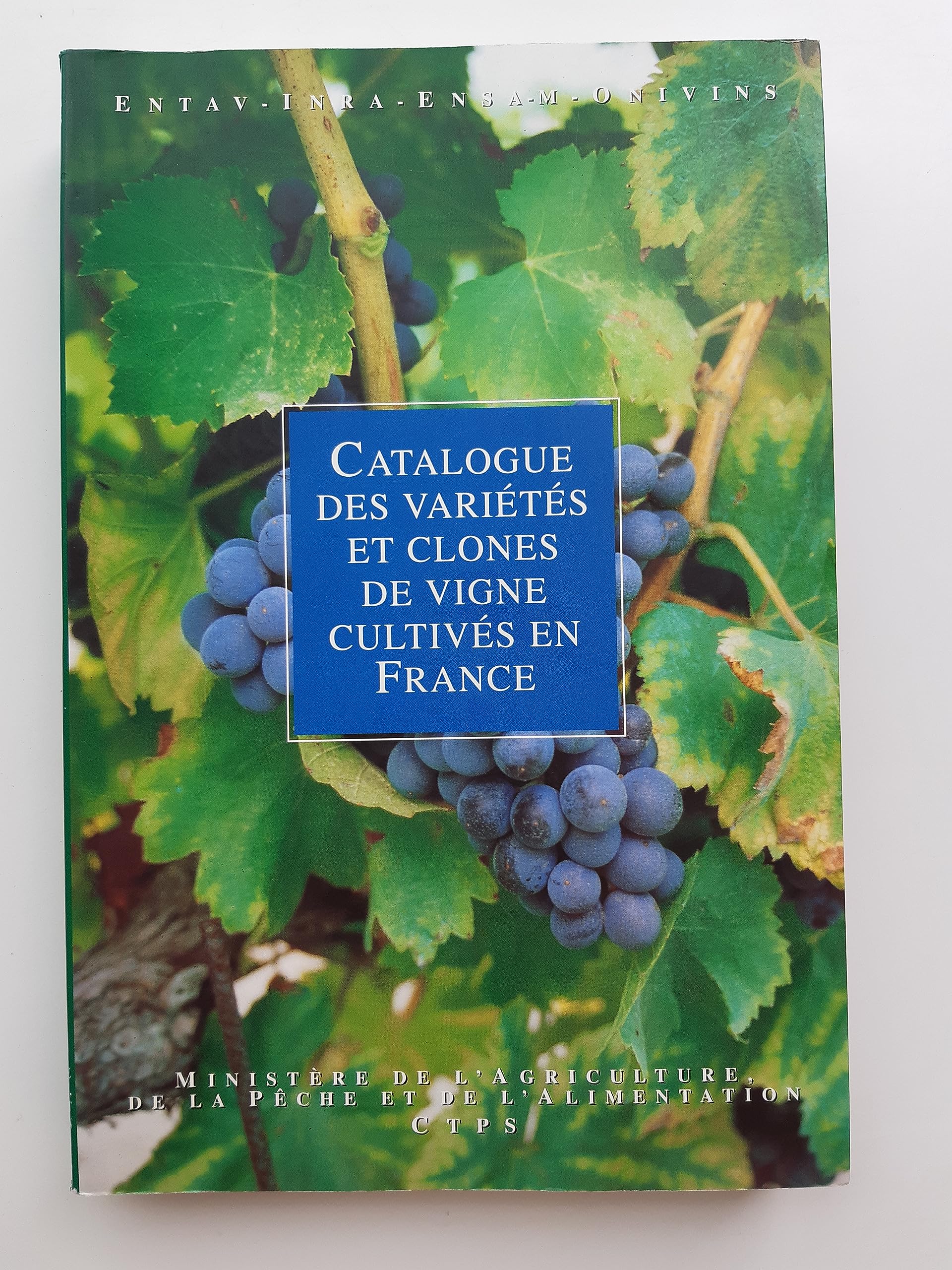 Catalogue des vignes et des varietes de clones cultives en France book
