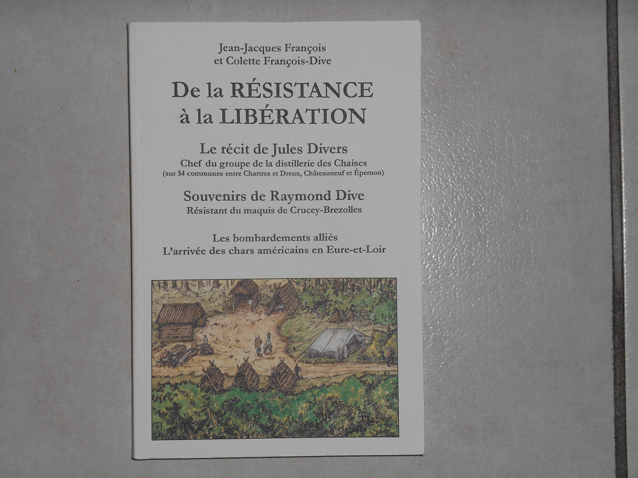 De la Résistance à la Libération book