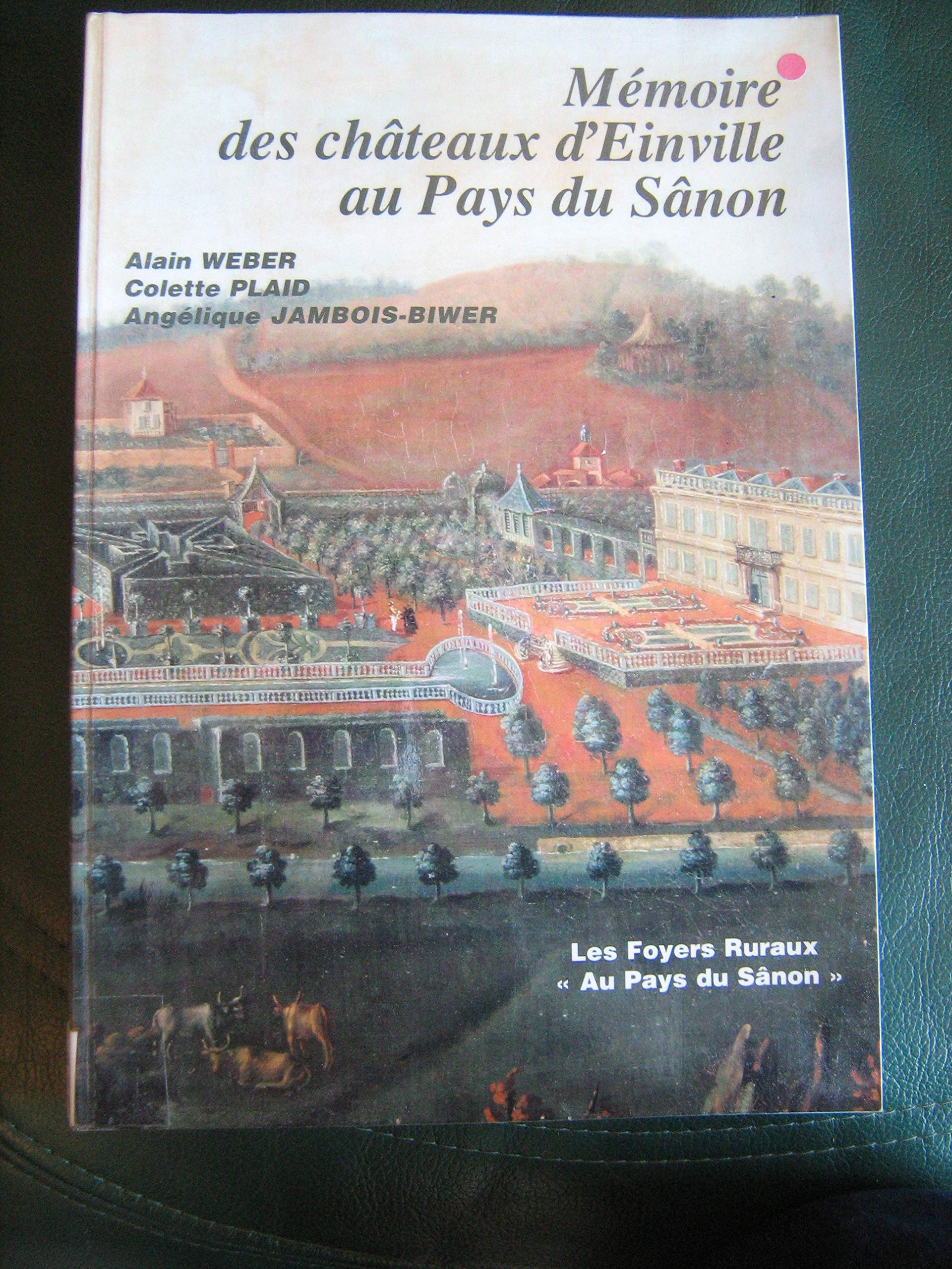 Mémoire des châteaux d'Einville au Pays du Sânon book