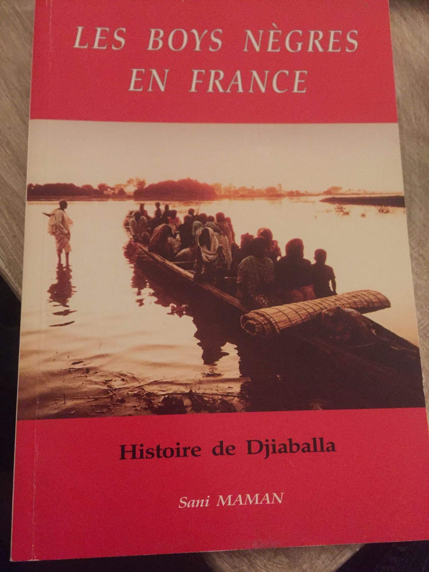 Les boys nègres en France : Histoire de Djiaballa book
