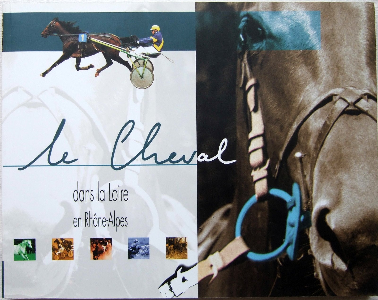 Le Cheval Dans La Loire En Rhone-Alpes book