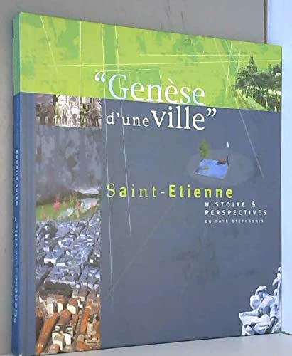 Saint-etienne, gen se d'une ville Books