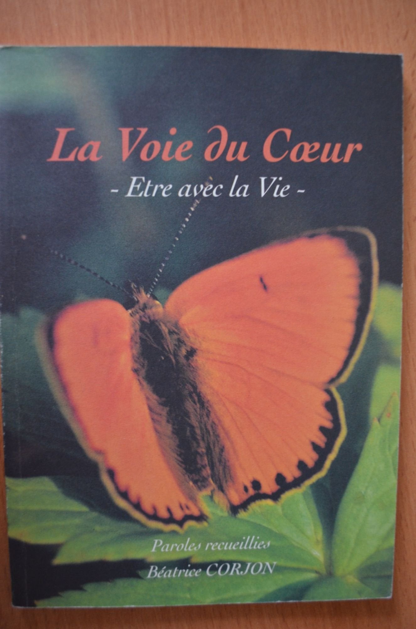 La voie du coeur : être avec la vie book