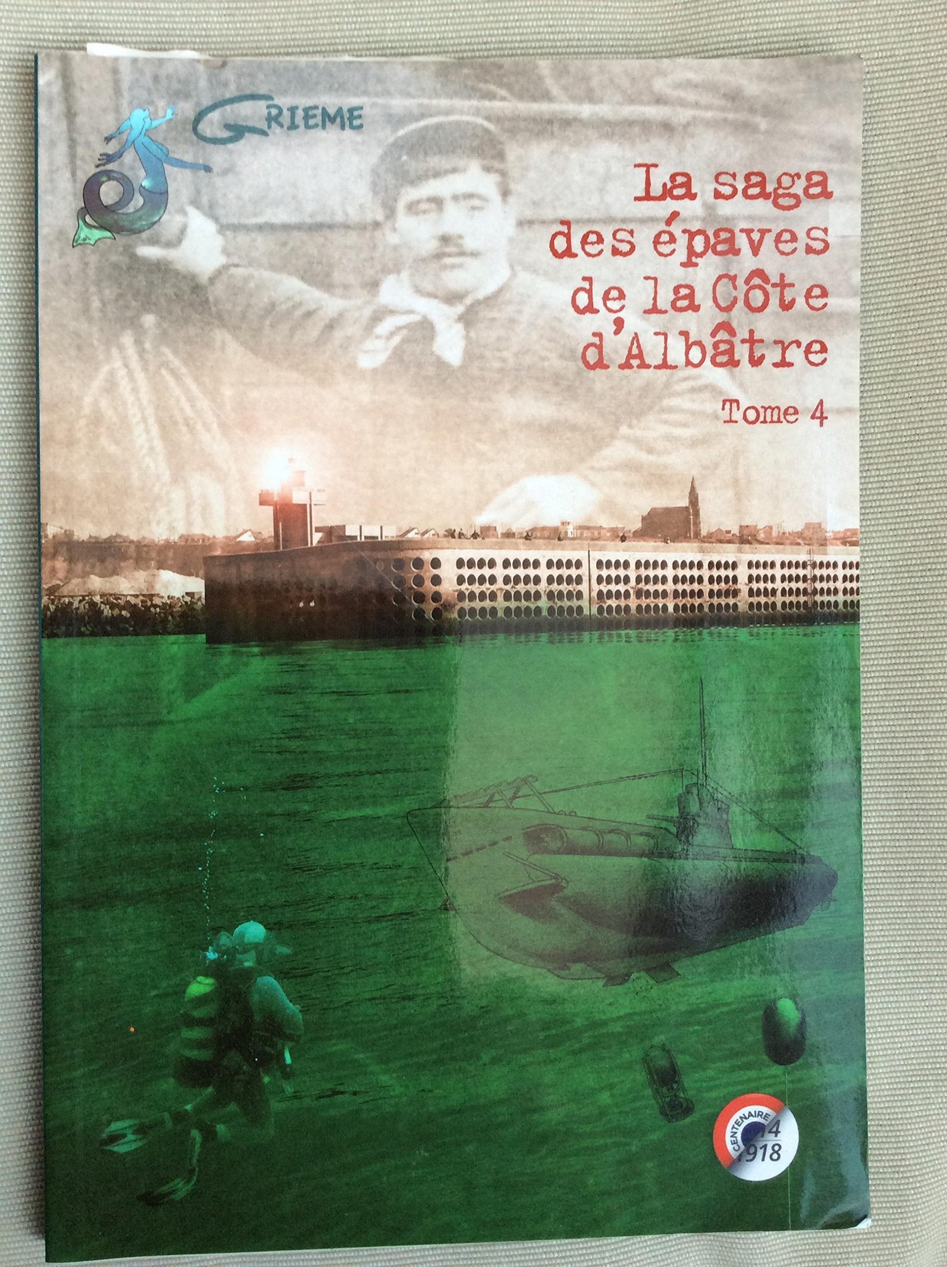 La saga des épaves de la côte d'Albâtre book