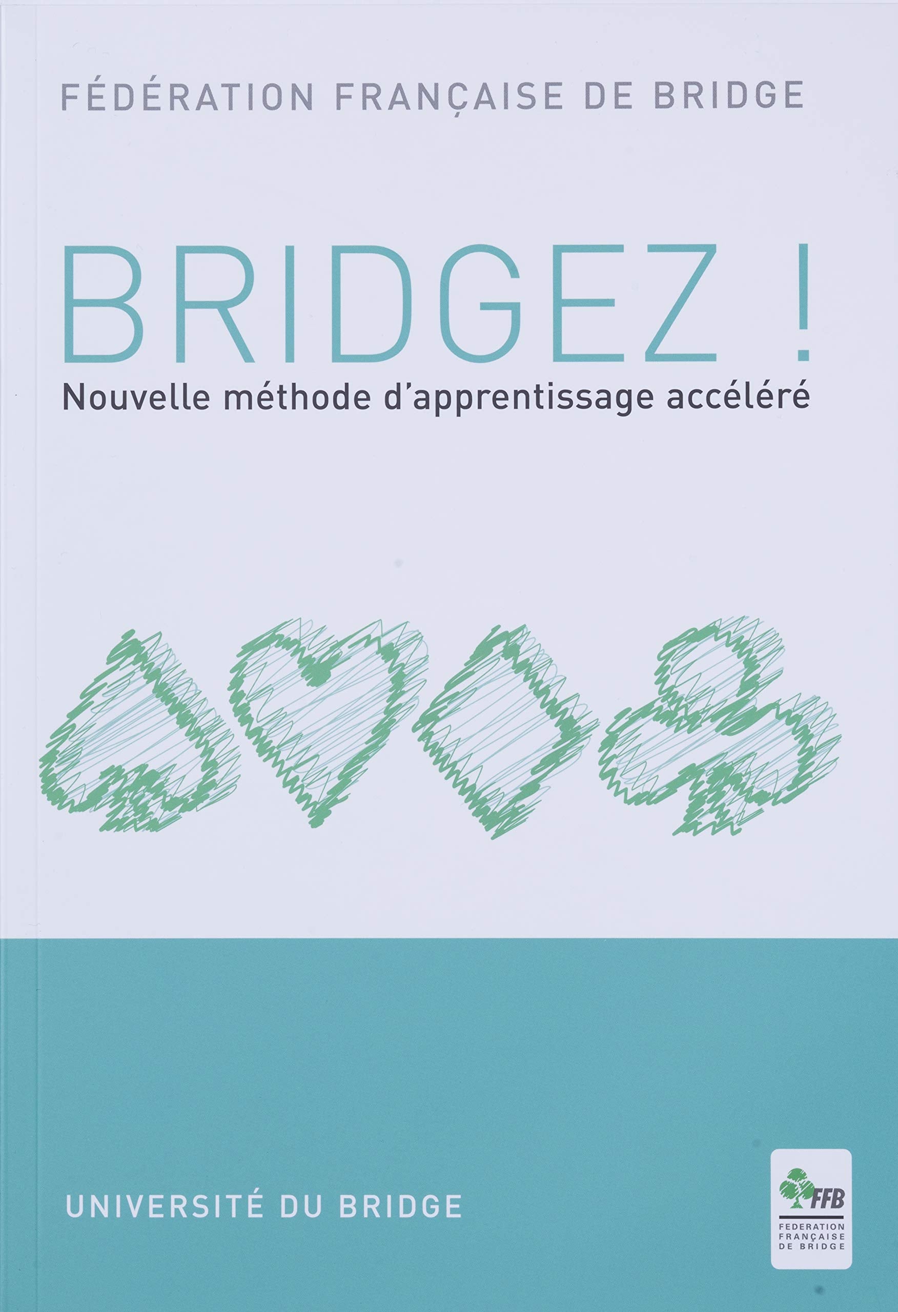 BRIDGEZ! NOUVELLE METHODE D'APPRENTISSAGE ACCELERE: Nouvelle méthode d'apprentissage accéléré Contemporary literature