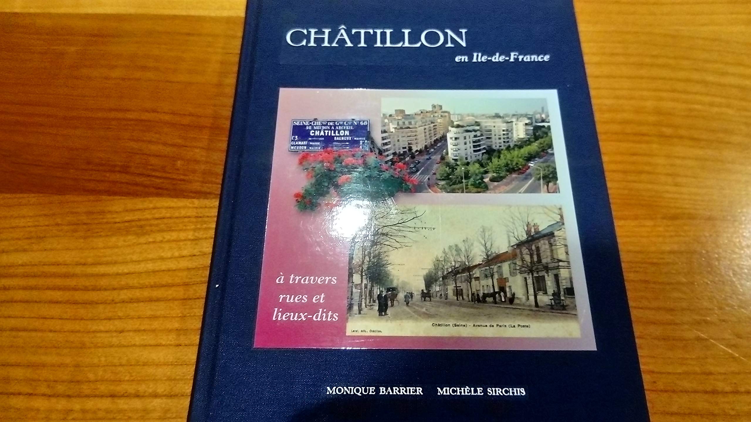 Châtillon en Île-de-France : à travers rues et lieux-dits book