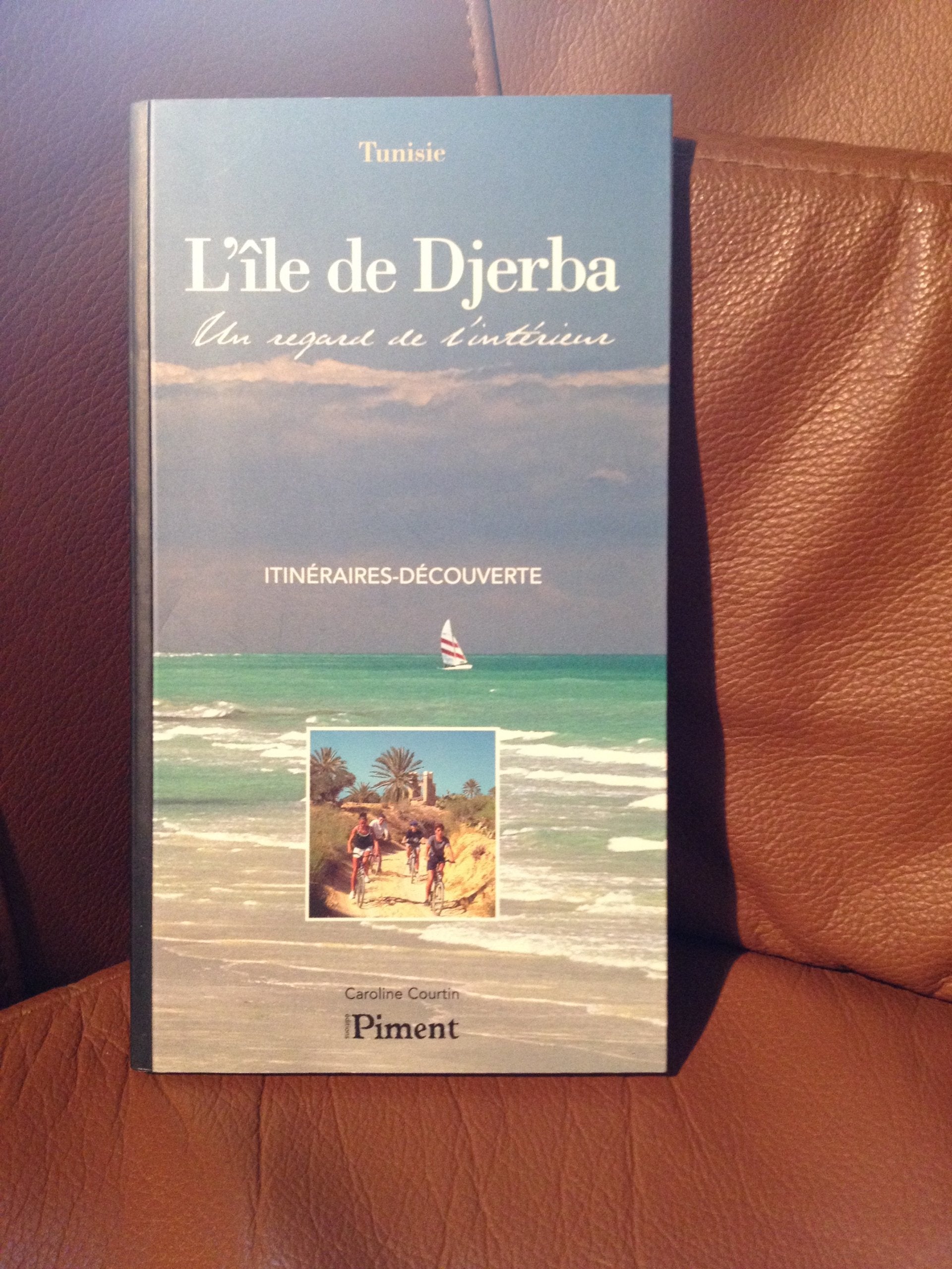 L'île de Djerba : un regard de l'intérieur book