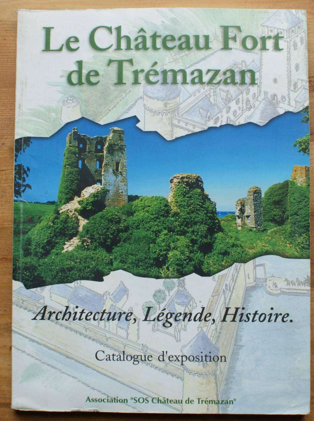Le château fort de Trémazan - Architecture, légende, histoire Books