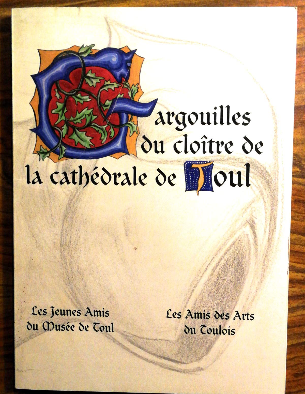 Les gargouilles du cloître de la cathédrale de Toul ou Le mystère de vingt-trois sculptures envoûtantes book