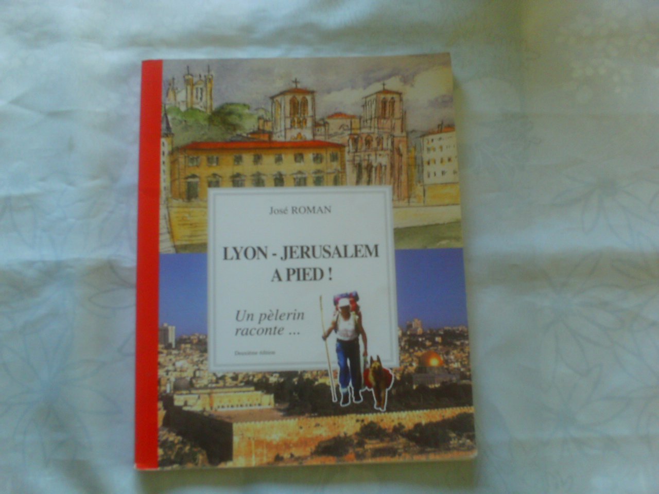 Lyon-Jérusalem à pied !: Un pélerin raconte... Books