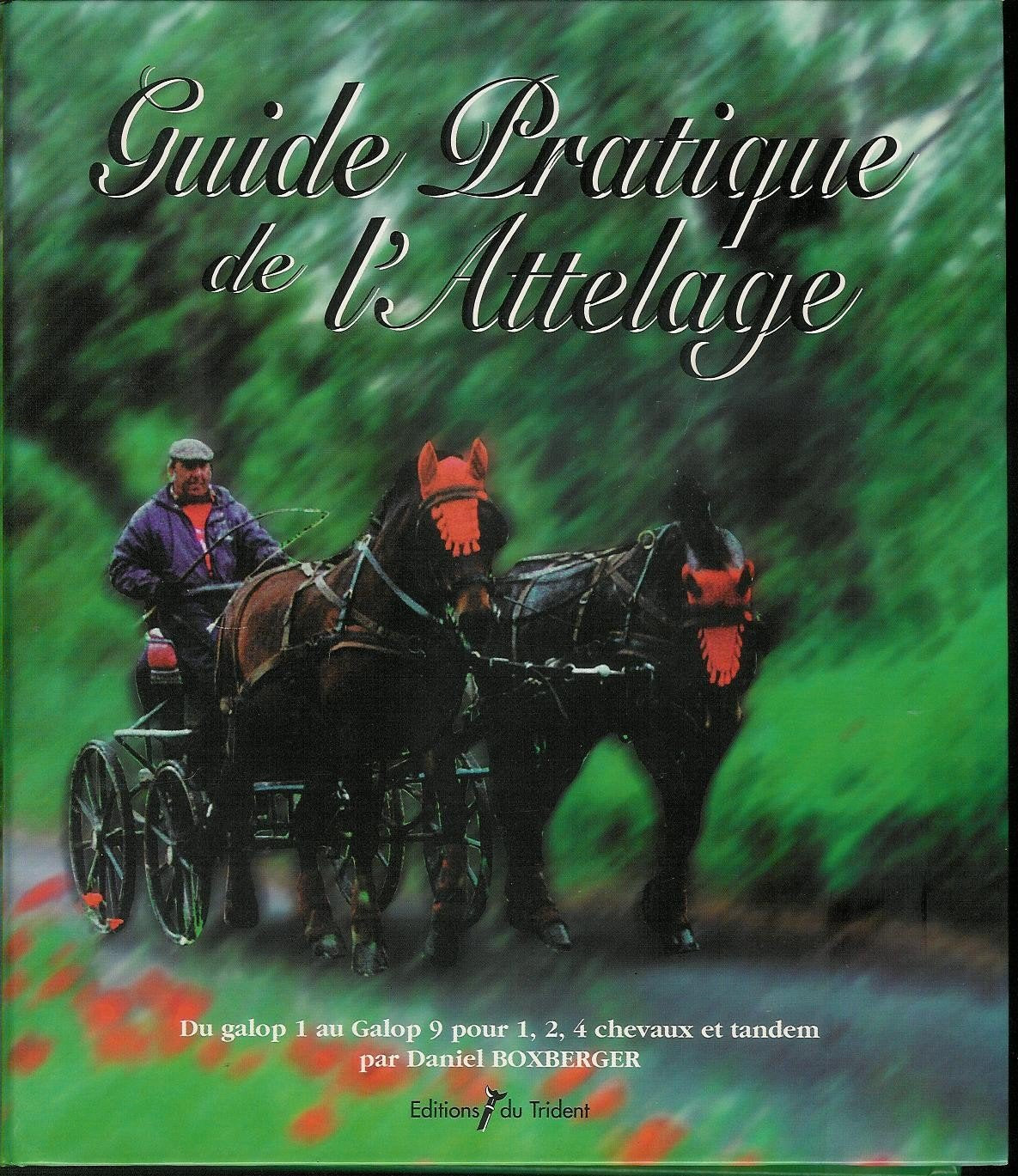 Guide pratique de l'attelage : Du galop 1 au galop 9 pour 1, 2, 4 chevaux et tandem book
