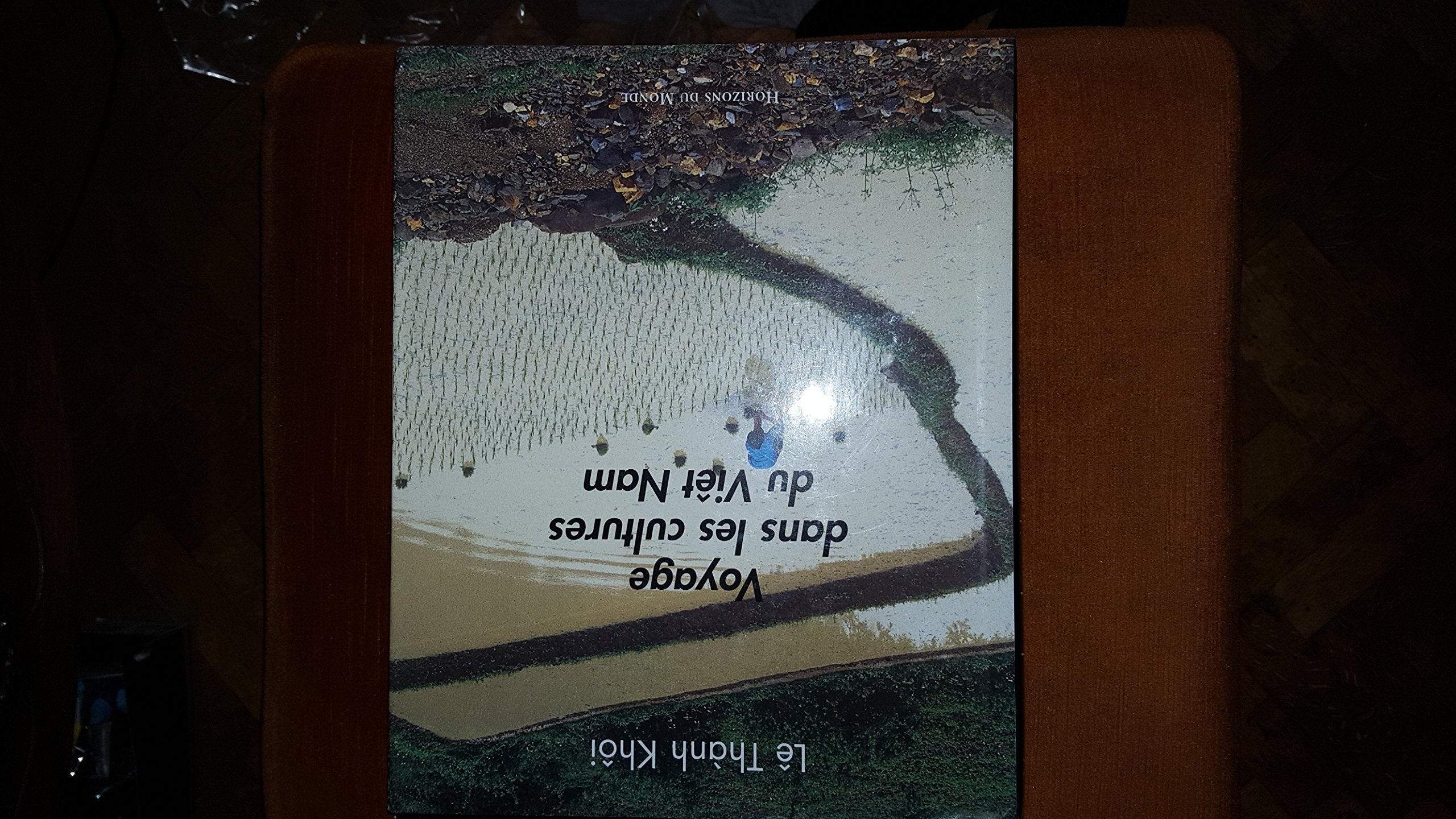 Voyage dans les cultures du vietnam Books