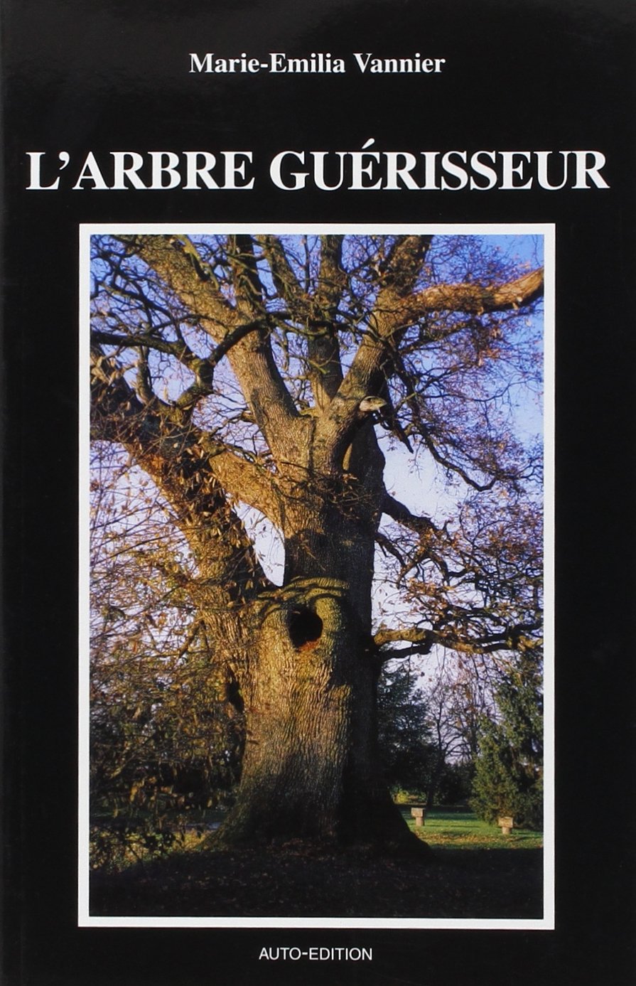 L'Arbre guérisseur book
