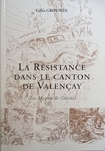 La Résistance dans le canton de Valençay (Les maquis de Gâtine) Books