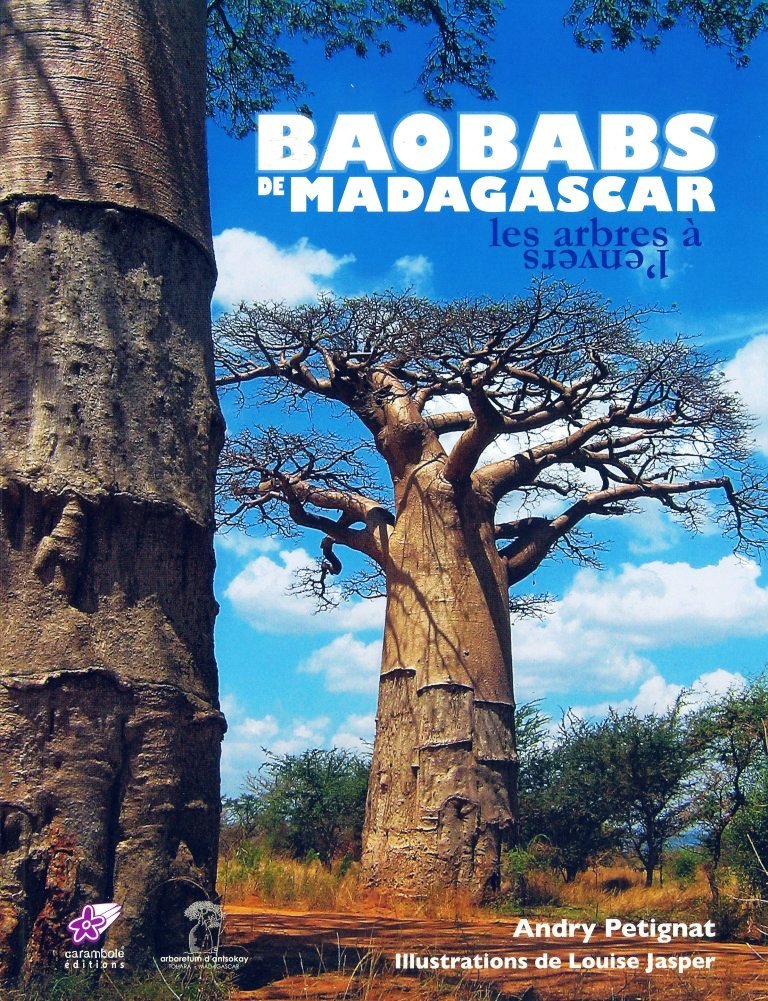 Baobabs de Madagascar - Les arbres à l'envers book