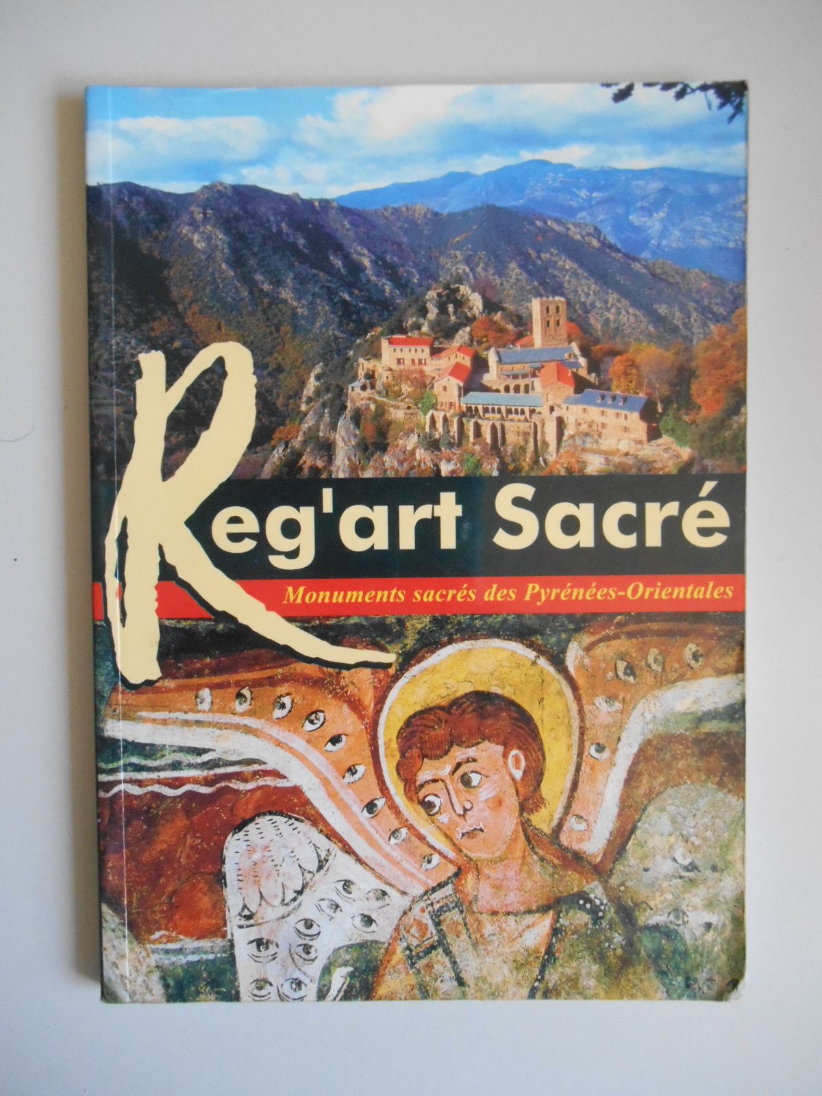 REG'ART SACRE - MONUMENTS SACRES DES PYRENEES-ORIENTALES Books