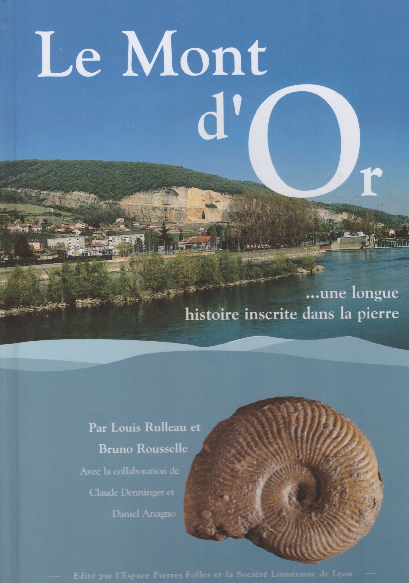 Le Mont d'Or: Une longue histoire inscrite dans la pierre Books