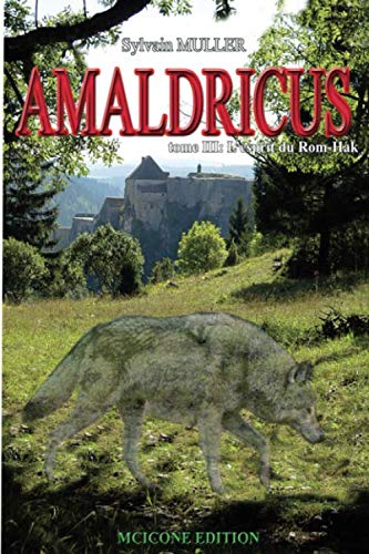 Amaldricus 3: L'esprit du Rom-Hak (Amaldricus:Trilogie, Band 3) Urban Fantasy
