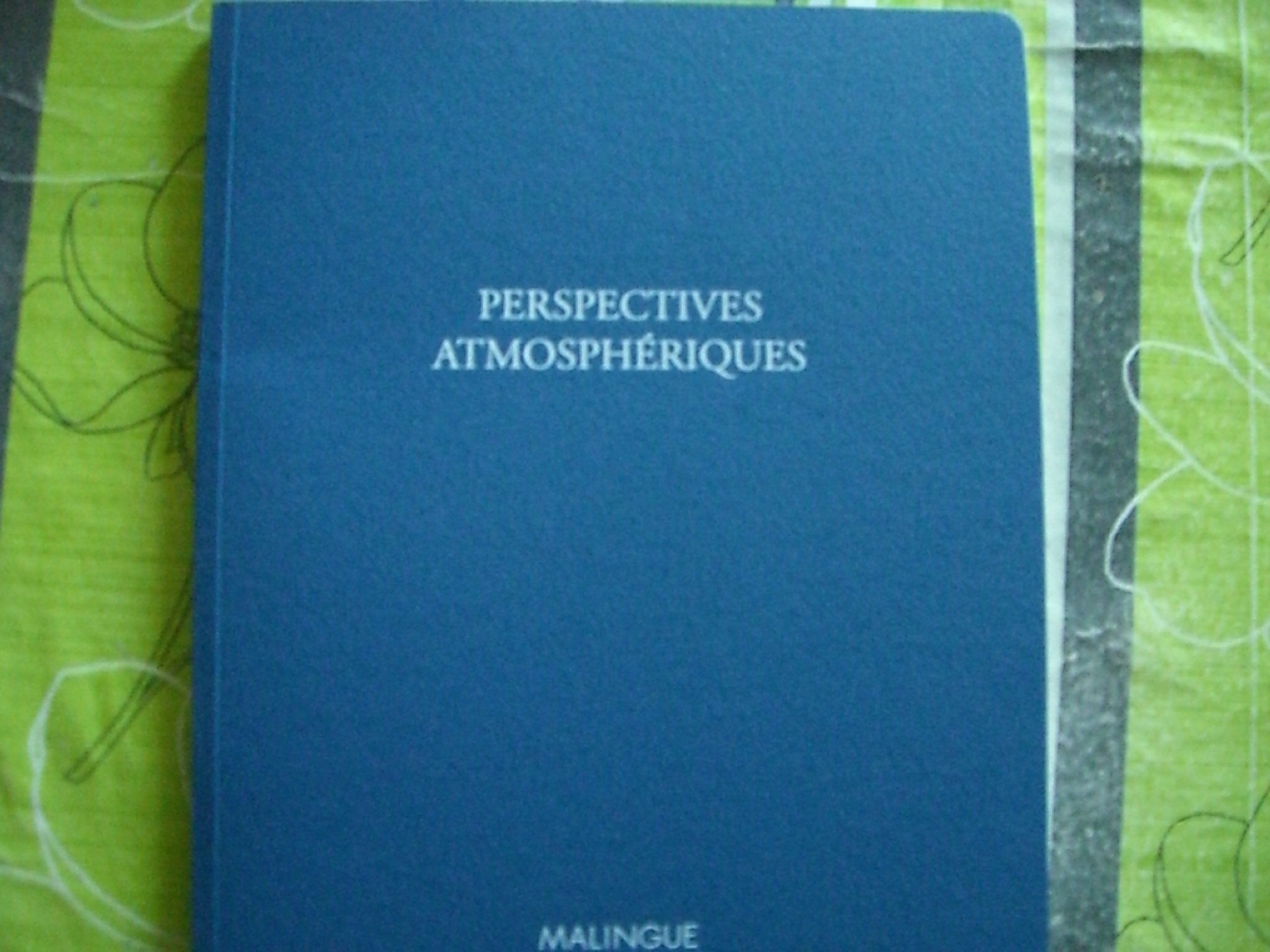 PERSPECTIVES ATMOSPHERIQUES // EXPO DU 9 AVRIL AU 5 JUIN 2013 book