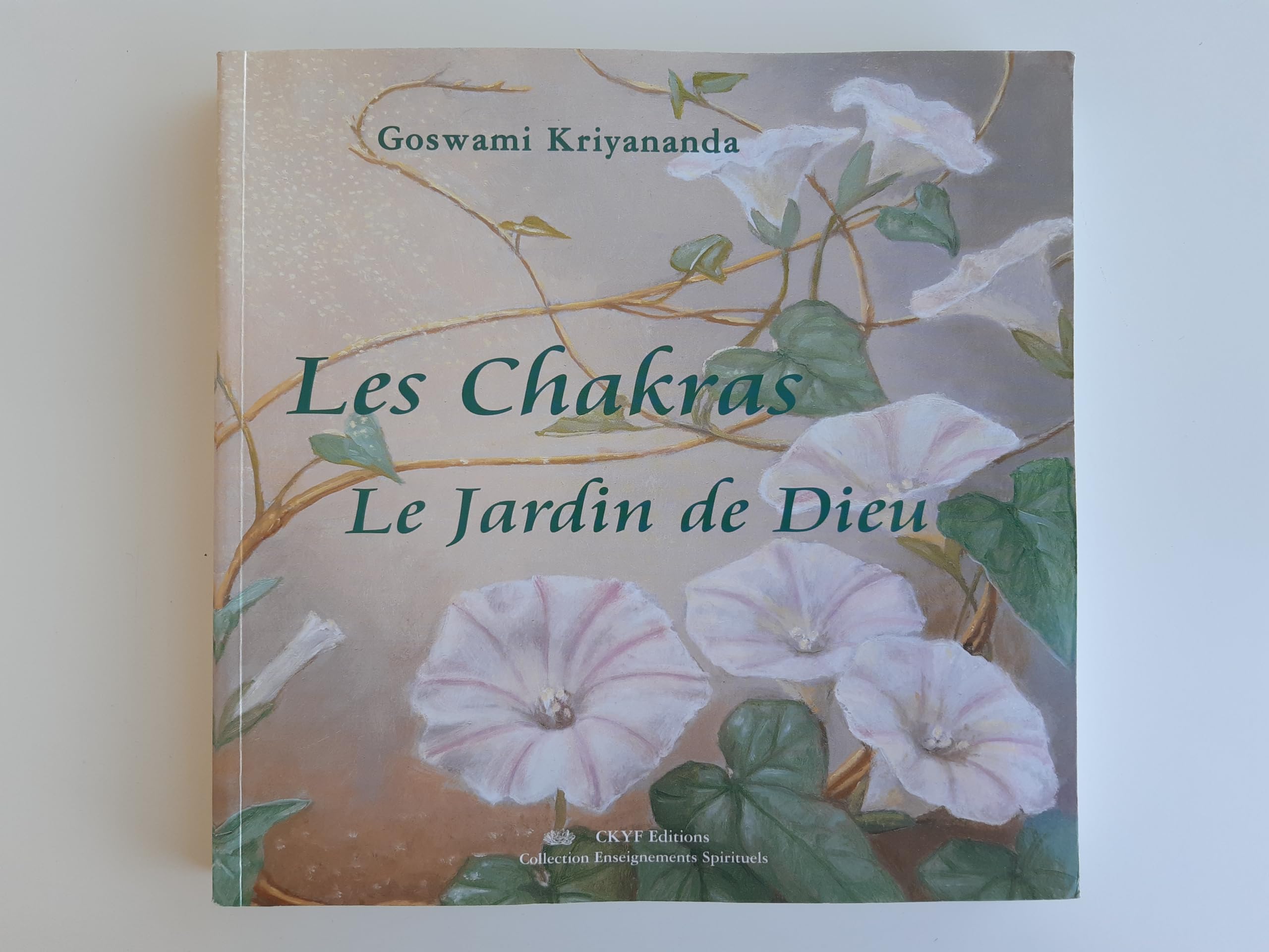 LES CHAKRAS, LE JARDIN DE DIEU book