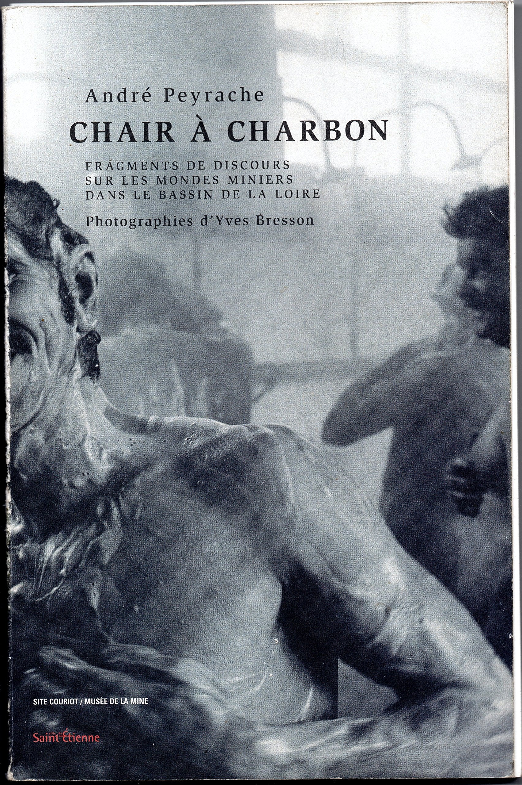 Chair à charbon: Fragments de discours sur les mondes miniers dans le bassin de la Loire Books